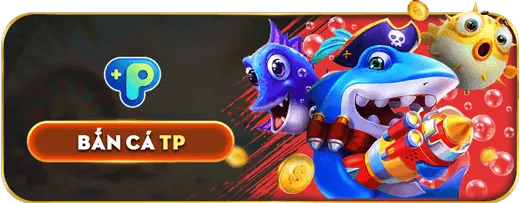 Các lĩnh vực hỗ trợ chính của Fu88 Login